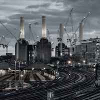 Pink Floyd - Animals (2018 Stereo Remix) (180 Gram Vinyl, Booklet) - Vinyl