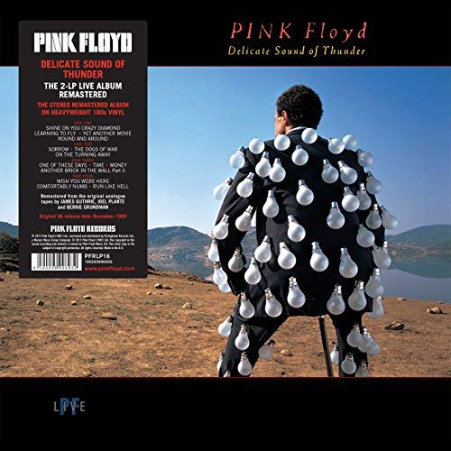 Pink Floyd - Delicate Sound Of Thunder - Vinyl