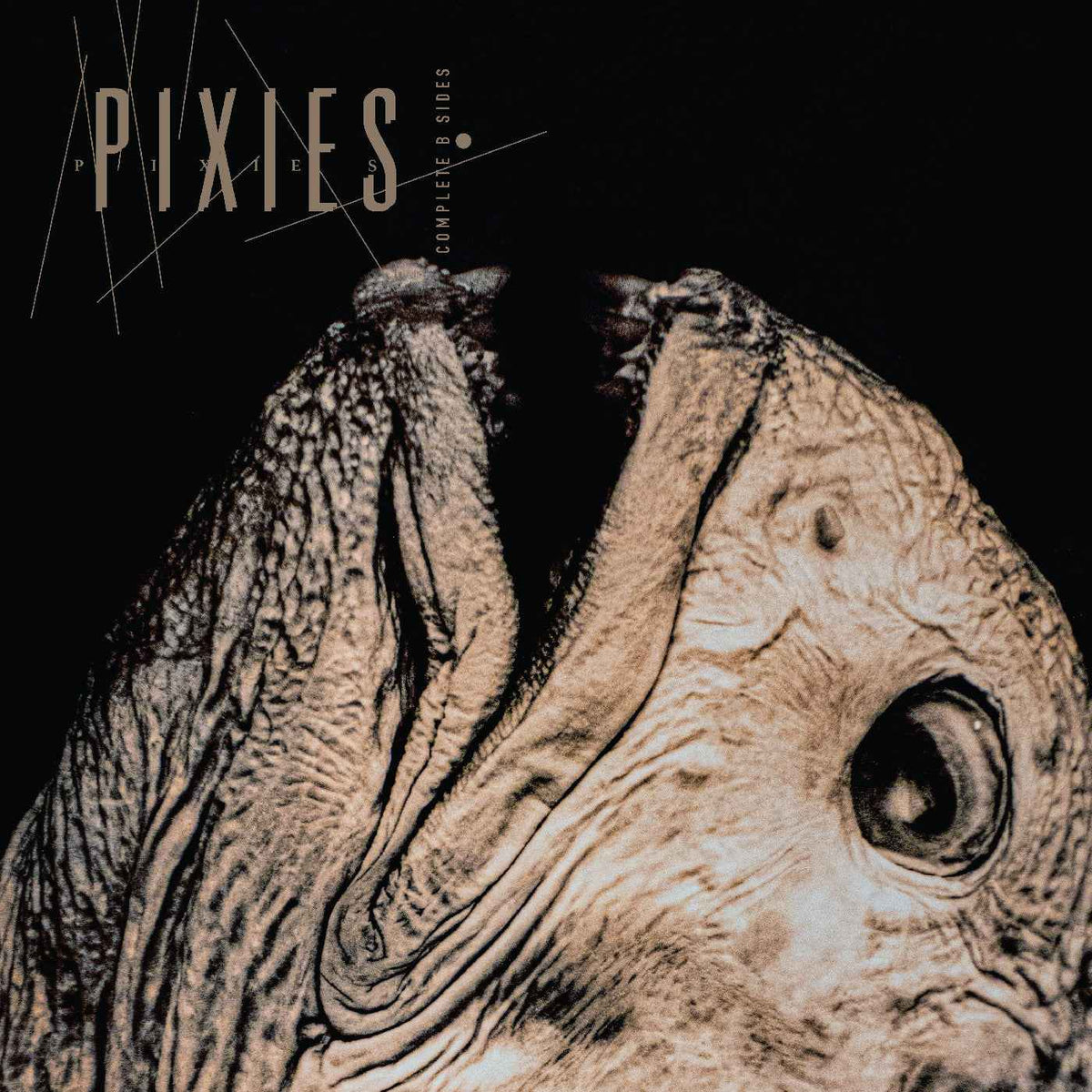 Pixies - Complete B Sides: 1988-97 (Indie Exclusive, Clear Vinyl) - Vinyl