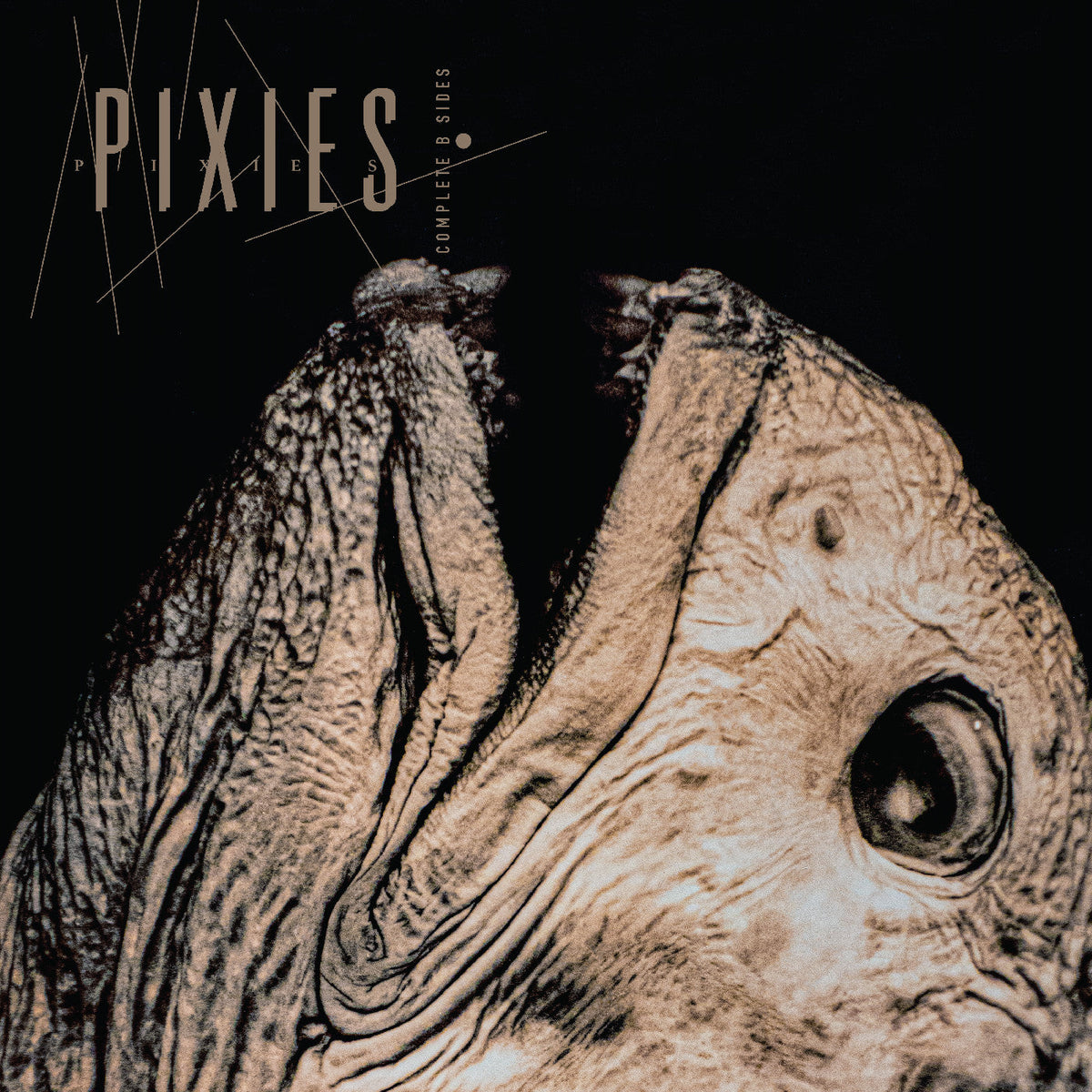Pixies - Complete B Sides: 1988-97 - Vinyl