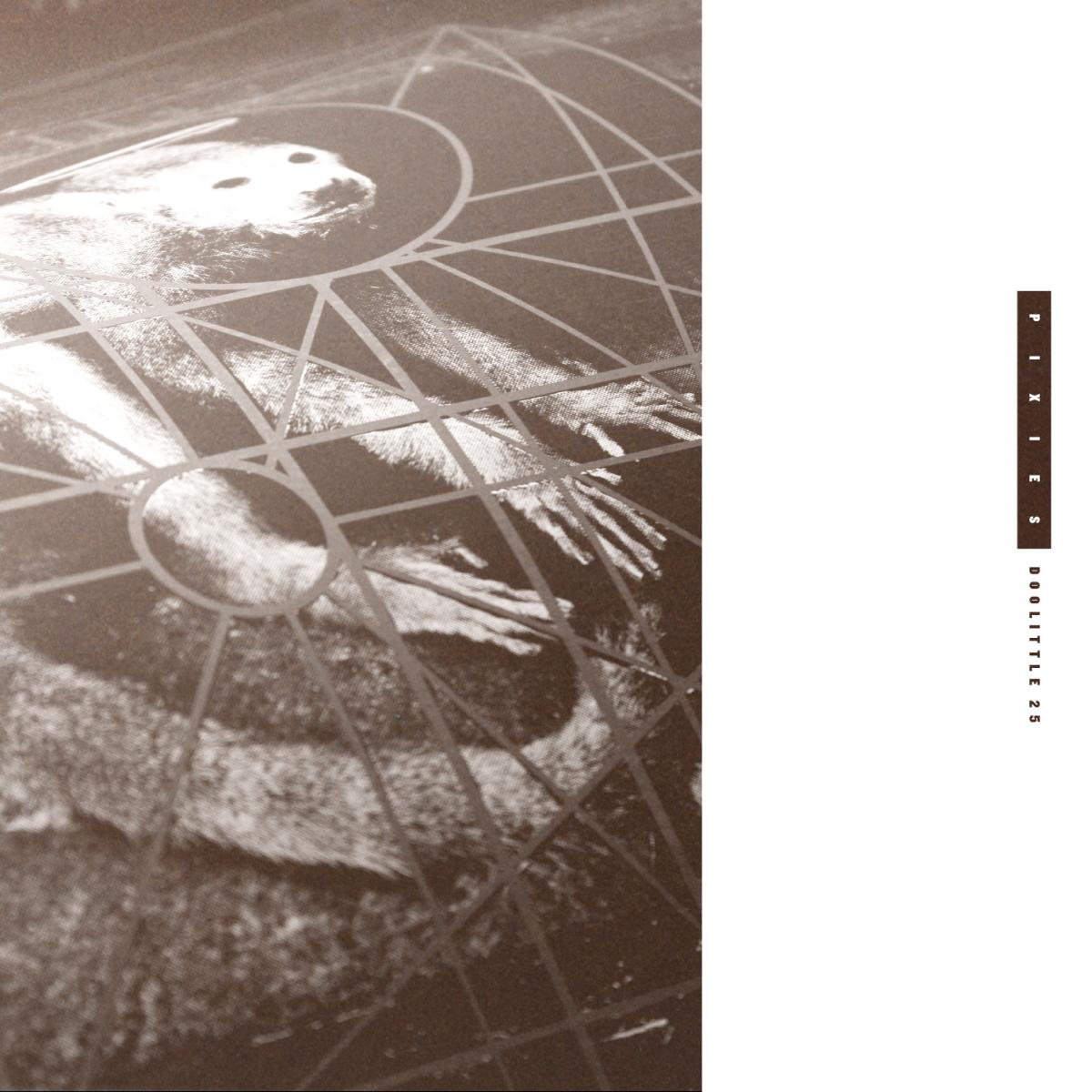 Pixies - DOOLITTLE 25: B-SIDES PEEL SESSIONS & DEMOS - Vinyl