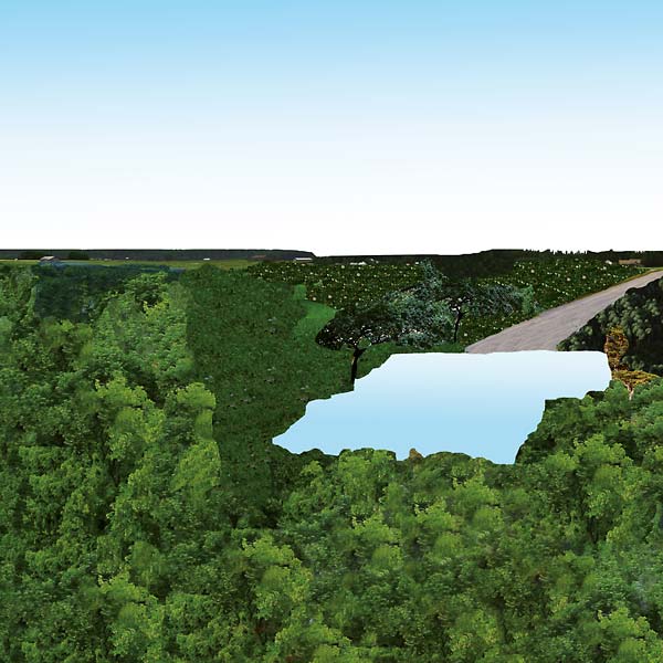 POLLOT - Pollot - CD