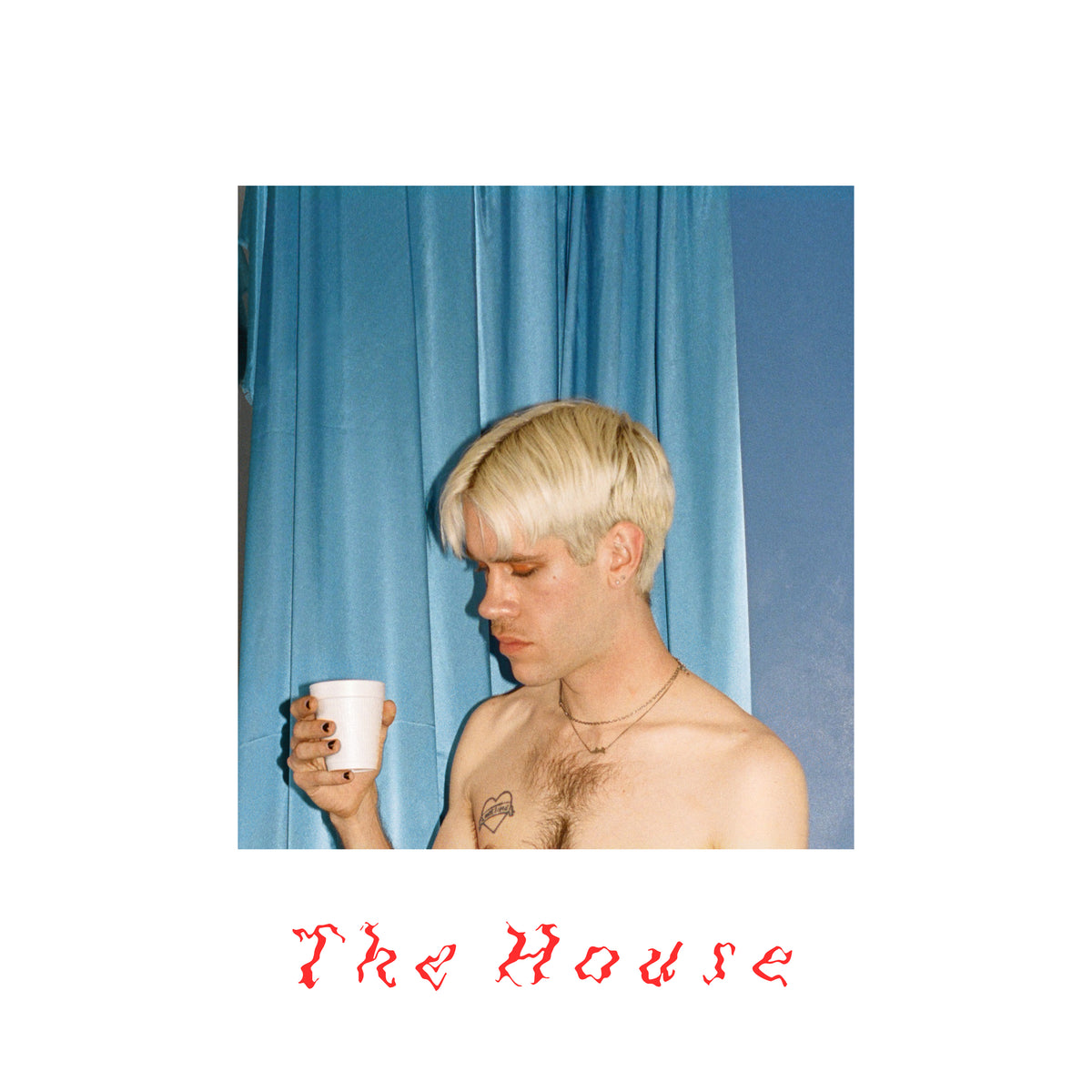 Porches - The House - Vinyl