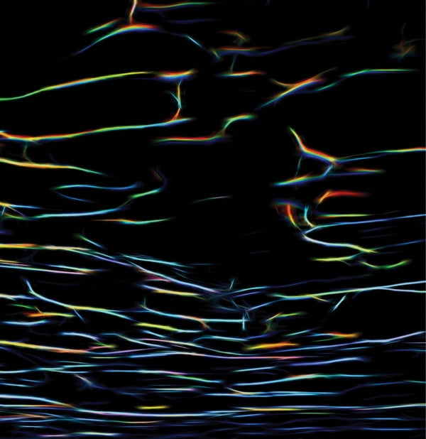 PORTER RICKS - Biokinetics - Vinyl