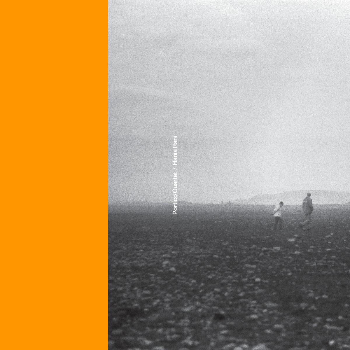 Portico Quartet / Hania Rani - Portico Quartet / Hania Rani - Vinyl