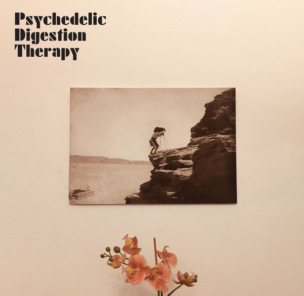 PSYCHEDELIC DIGESTION THERAPY - Psychedelic Digestion Therapy - Vinyl