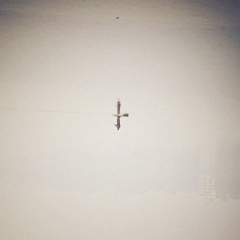 Qasim Naqvi - Endling (Translucent Vinyl) - Vinyl