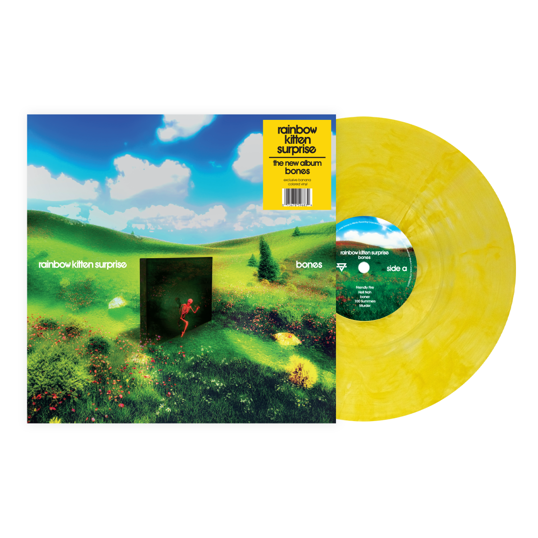Rainbow Kitten Surprise - Bones (Indie Exclusive Banana Vinyl) - Vinyl