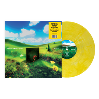 Rainbow Kitten Surprise - Bones (Indie Exclusive Banana Vinyl) - Vinyl