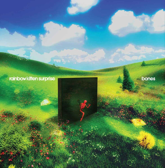 Rainbow Kitten Surprise - Bones (Standard Black Vinyl) - Vinyl