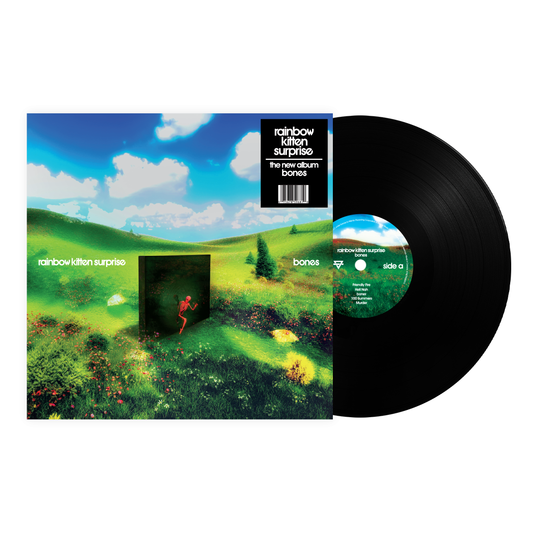 Rainbow Kitten Surprise - Bones (Standard Black Vinyl) - Vinyl
