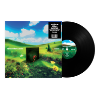 Rainbow Kitten Surprise - Bones (Standard Black Vinyl) - Vinyl