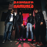 Ramones - Halfway To Insanity (SYEOR25, Brick & Mortar Exclusive) - Vinyl