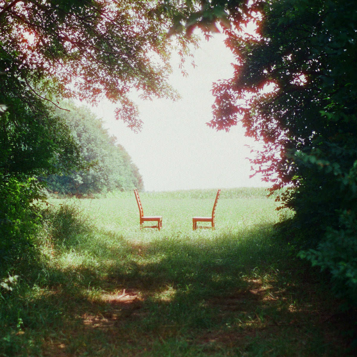 Ratboys - Singin' To An Empty Chair (Indie Exclusive) - Vinyl