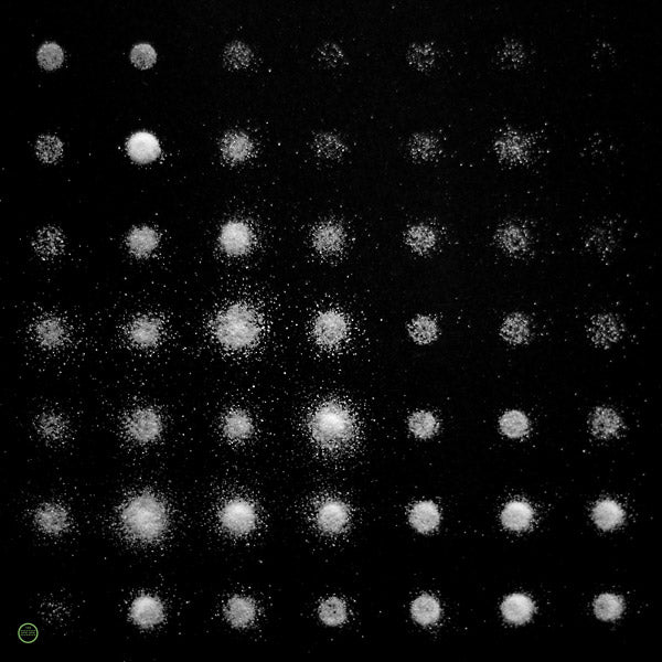 RAYON - A Beat Of Silence - CD