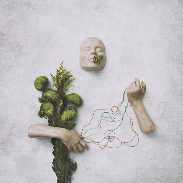 red steppes - A Mouth May Grow - Vinyl