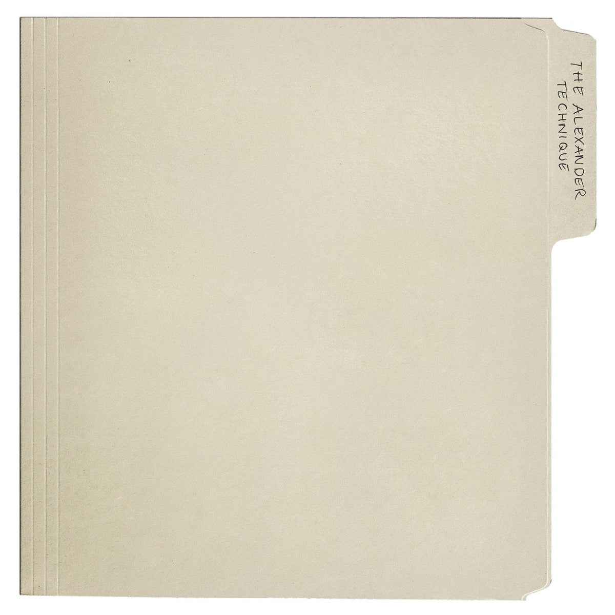 Rex Orange County - The Alexander Technique [Explicit Content] (Gatefold LP Jacket, Poster) (2 Lp's) - Vinyl