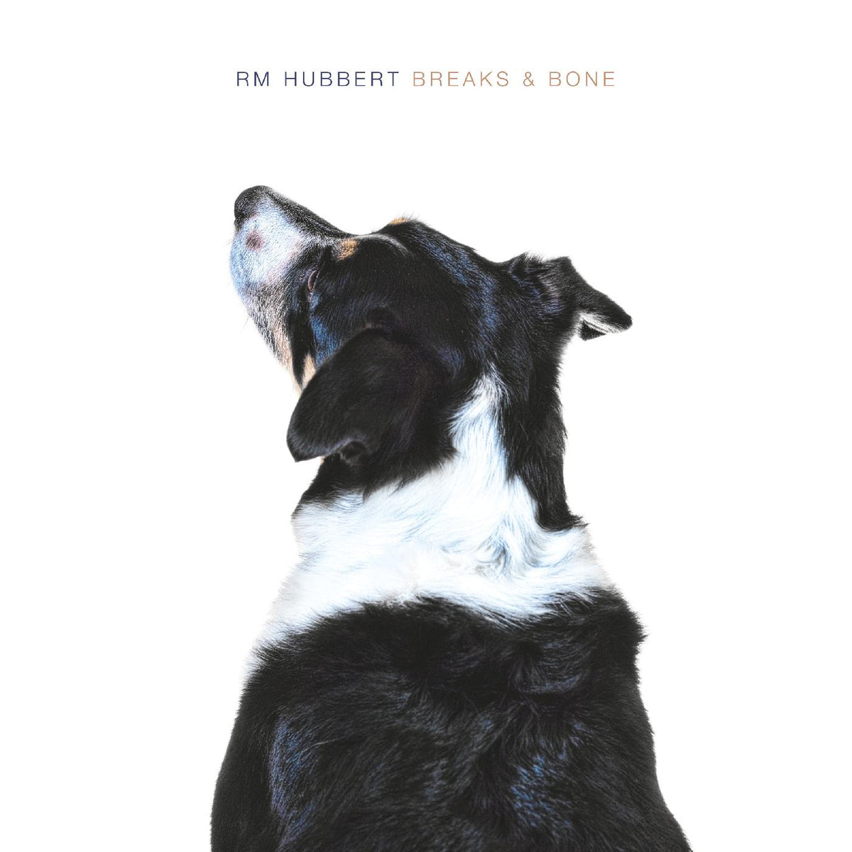 RM Hubbert - Breaks & Bone - Vinyl