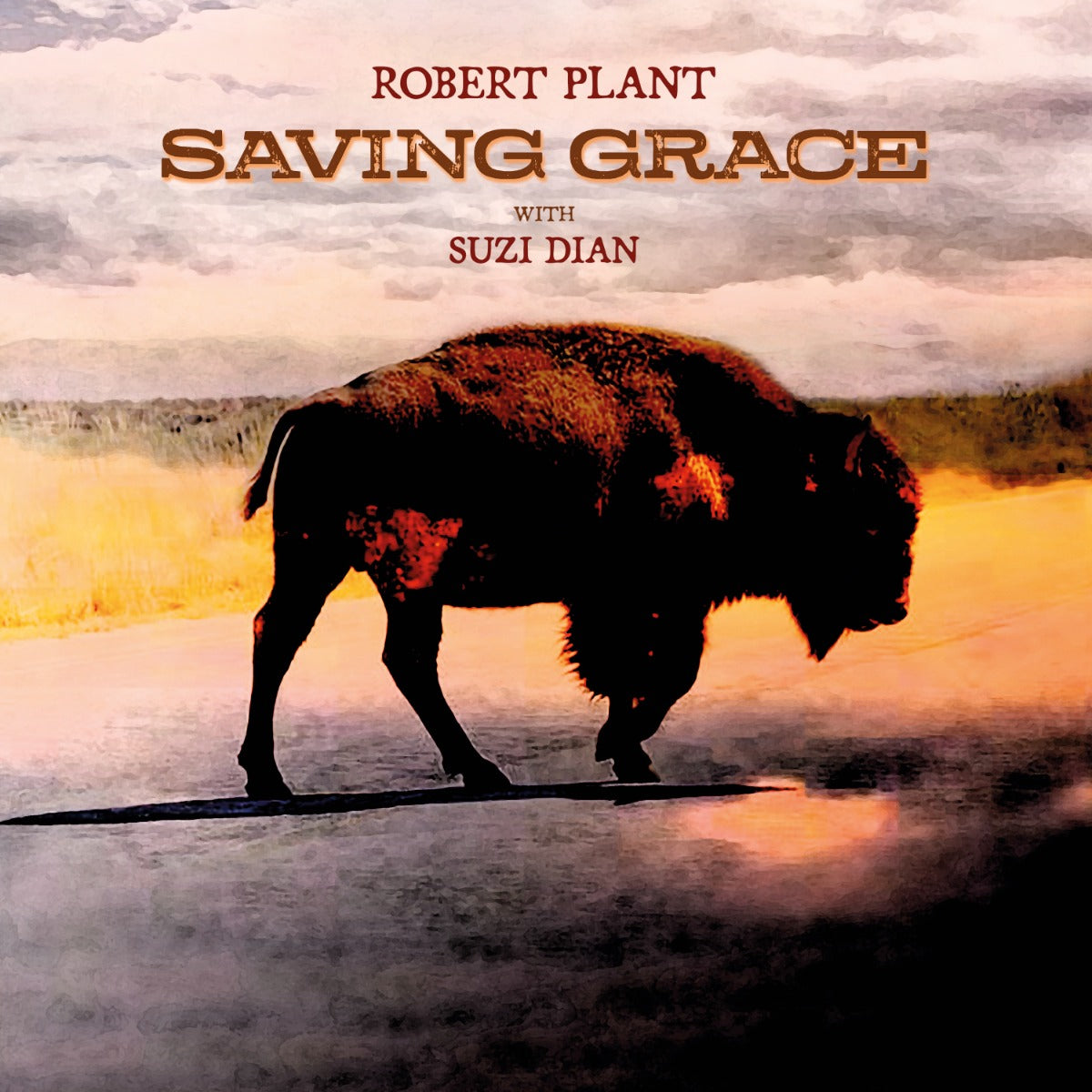 Robert Plant - Saving Grace (140G Black Vinyl) - Vinyl