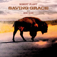 Robert Plant - Saving Grace (140G Black Vinyl) - Vinyl