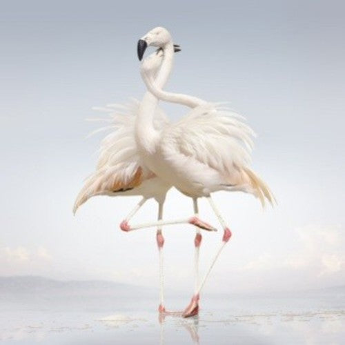 Rustie - Green Language - Vinyl