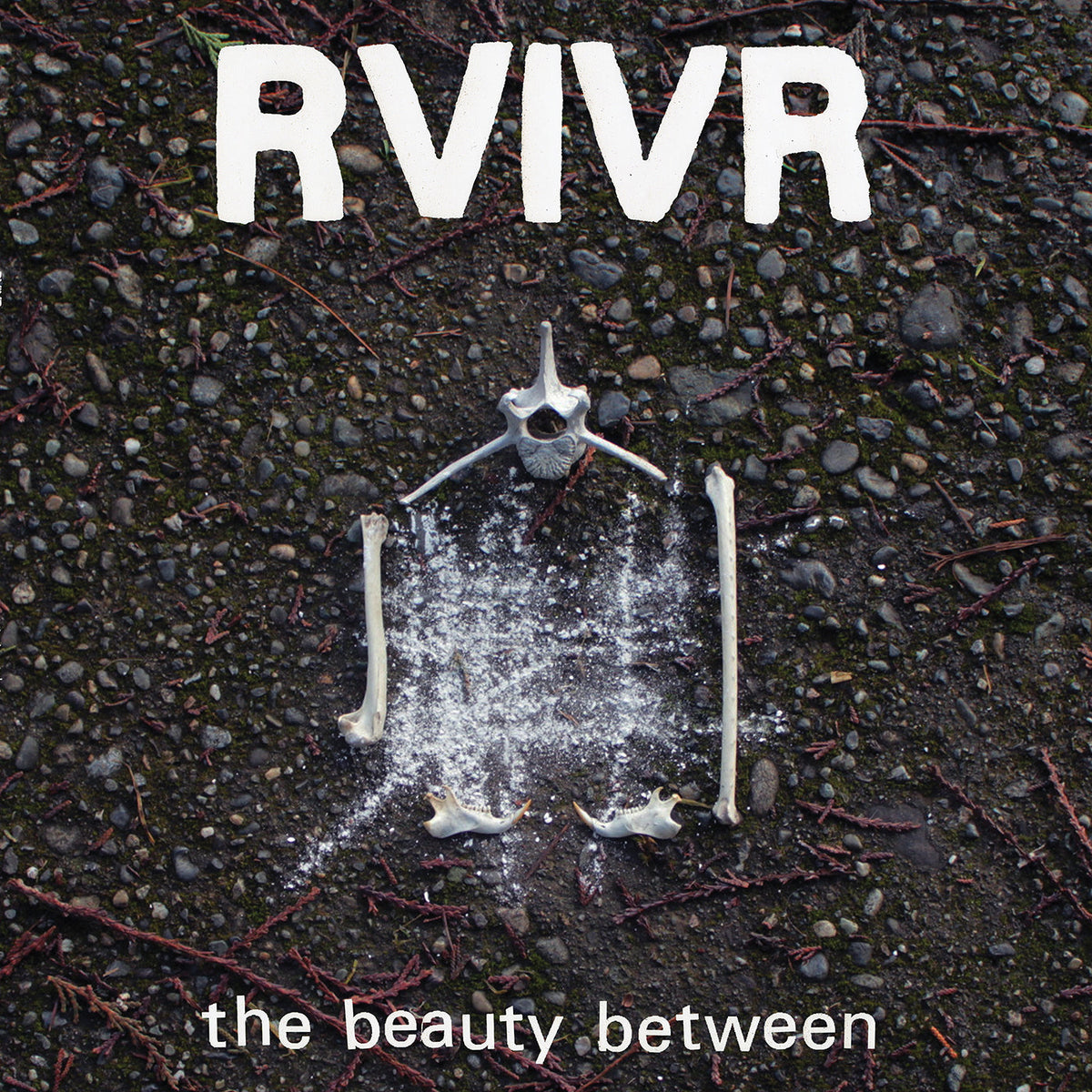 RVIVR - The Beauty Between [Black/Clear Vinyl] - Vinyl