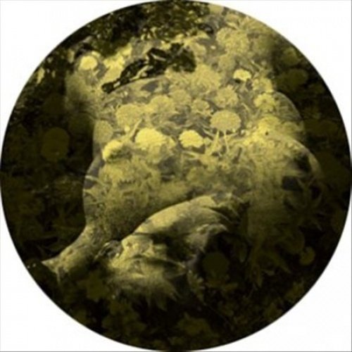 Salva - Yellobone - 12 - Vinyl