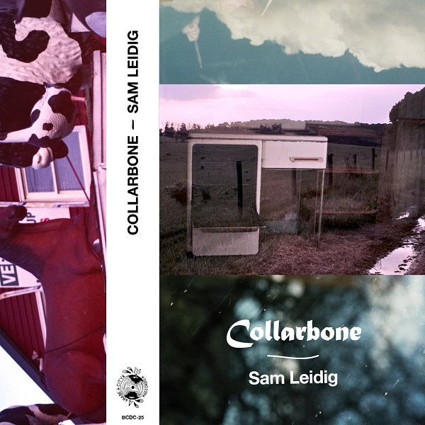 Sam Leidig - Collarbone - Rock