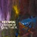 Seether - Vicennial - 2 Decades Of Seether (Gatefold LP Jacket) (2 Lp's) - Vinyl