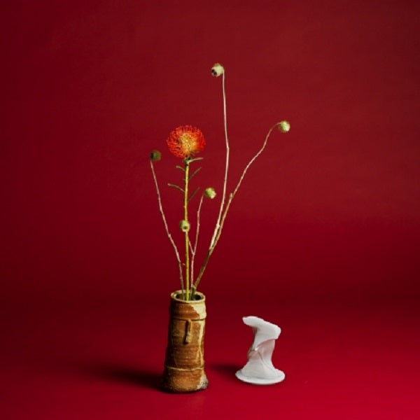 Seiho - Collapse - Vinyl