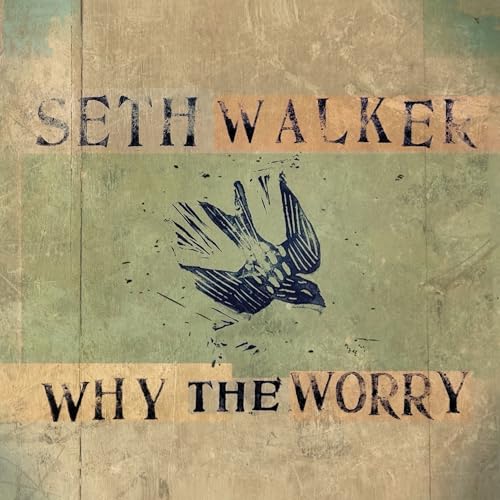 Seth Walker - Why The Worry - Vinyl