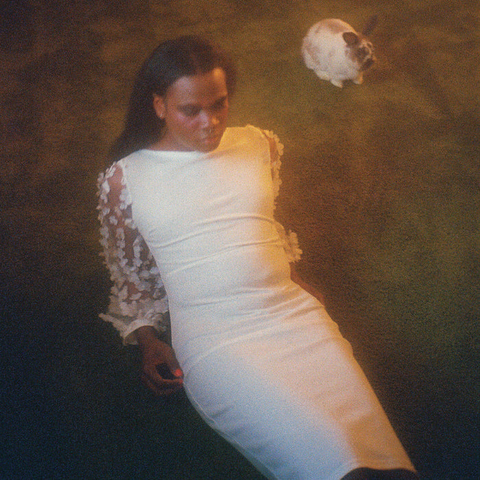 Shamir - Ten (Tangerine Vinyl) - Vinyl