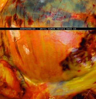 SHAPEDNOISE - Until Human Voices Wake Us - Vinyl
