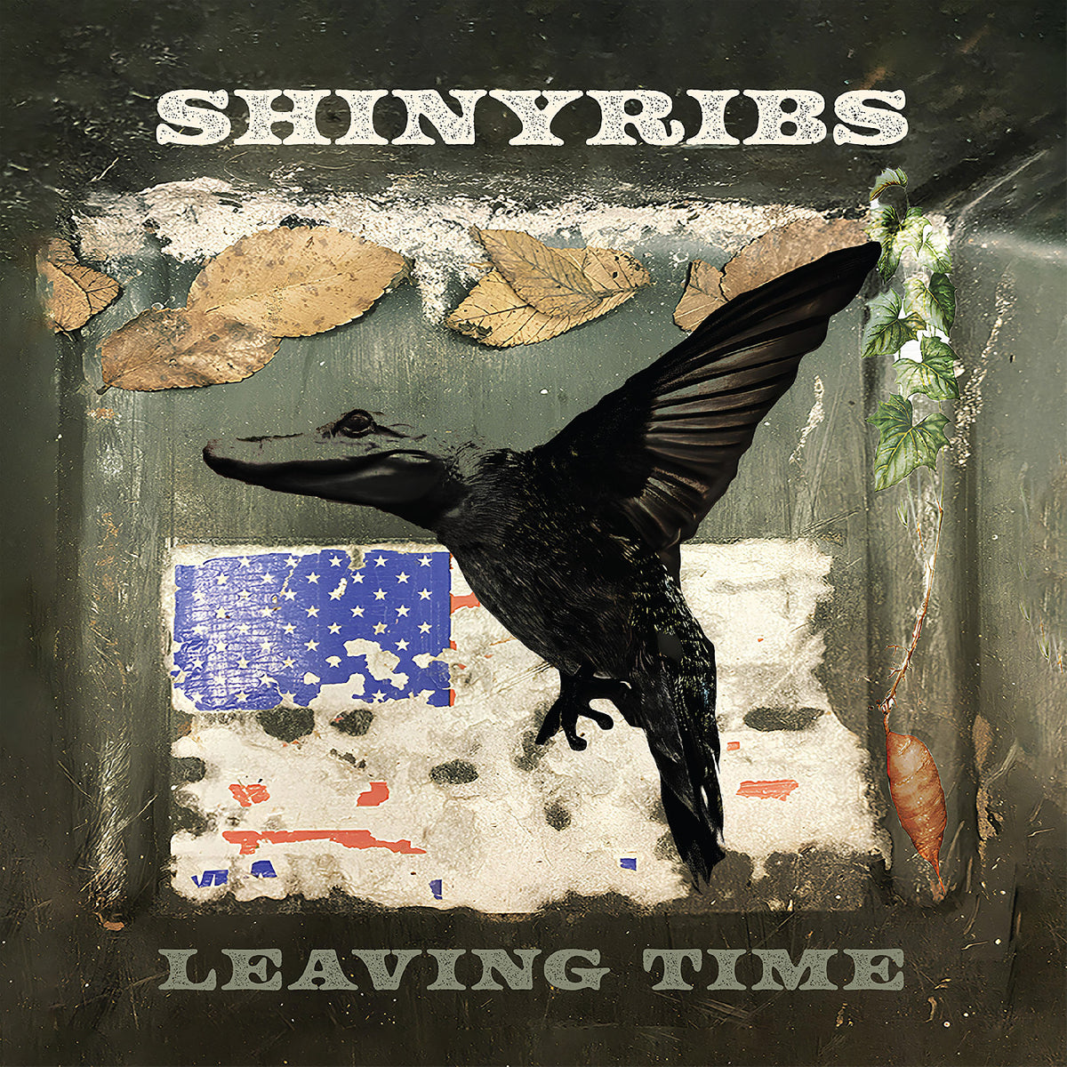 Shinyribs - Leaving Time - Vinyl