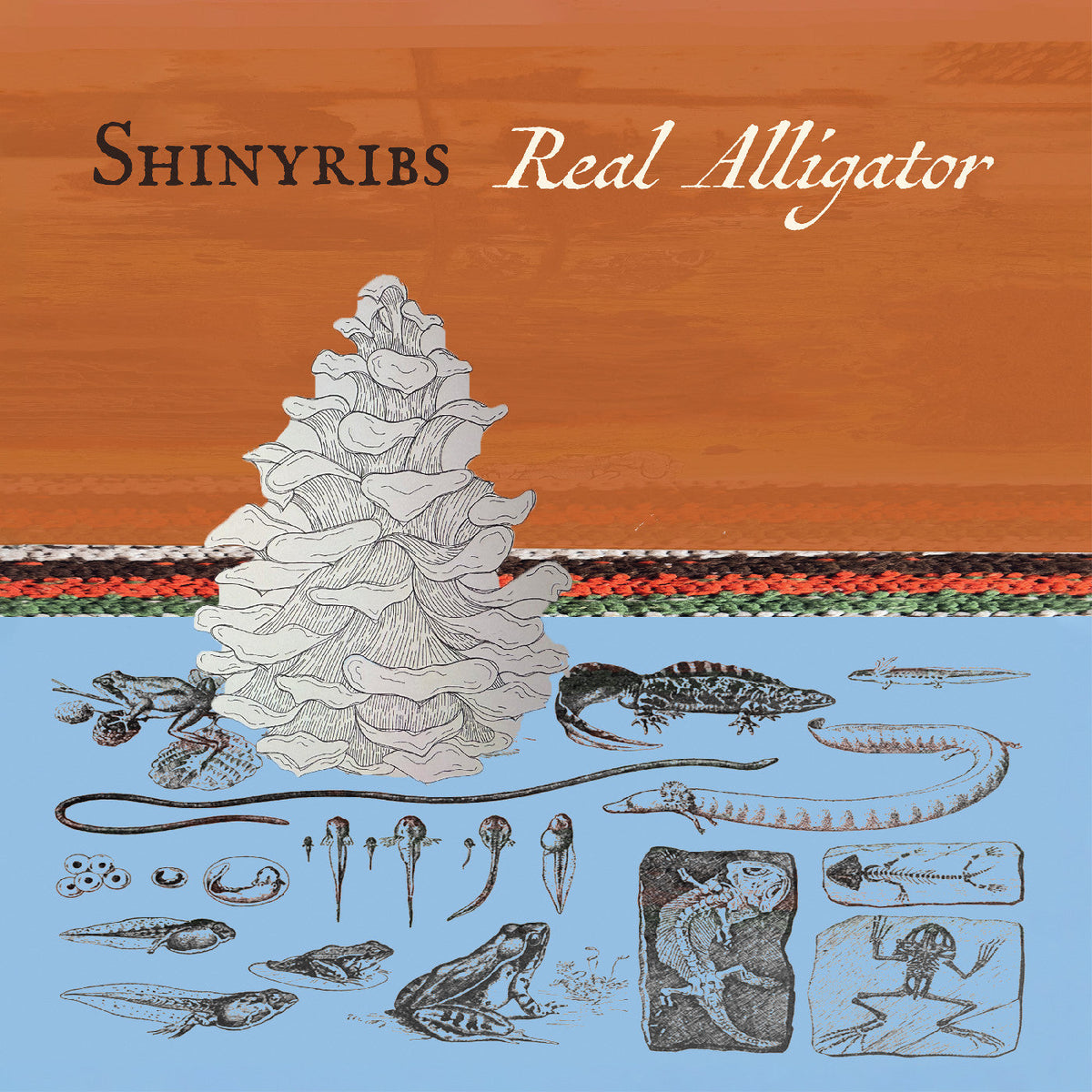 Shinyribs - Real Alligator - Vinyl