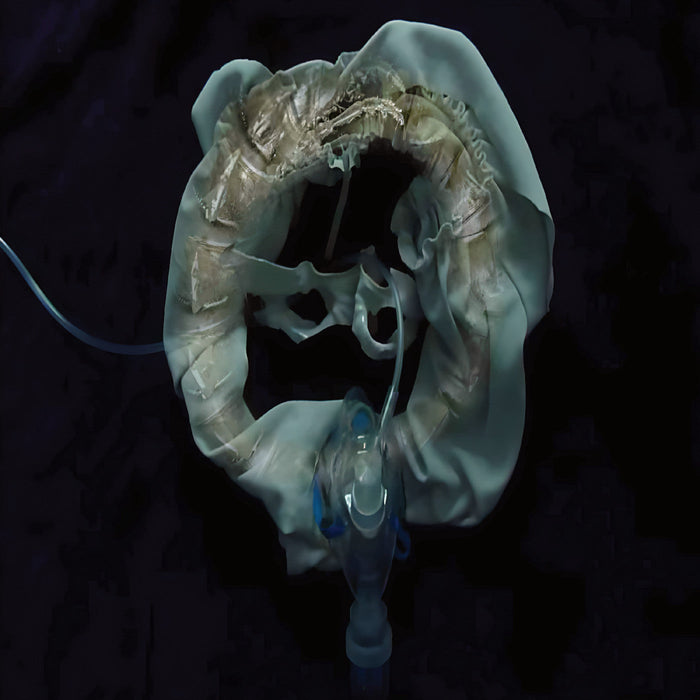 Ship Sket - Initiatrix - Vinyl