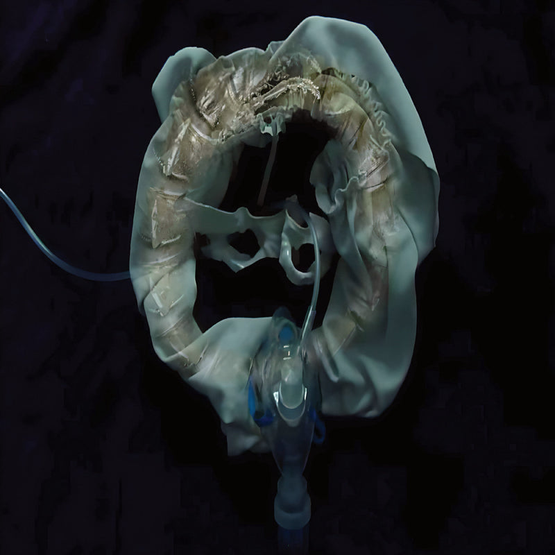 Ship Sket - Initiatrix - Vinyl