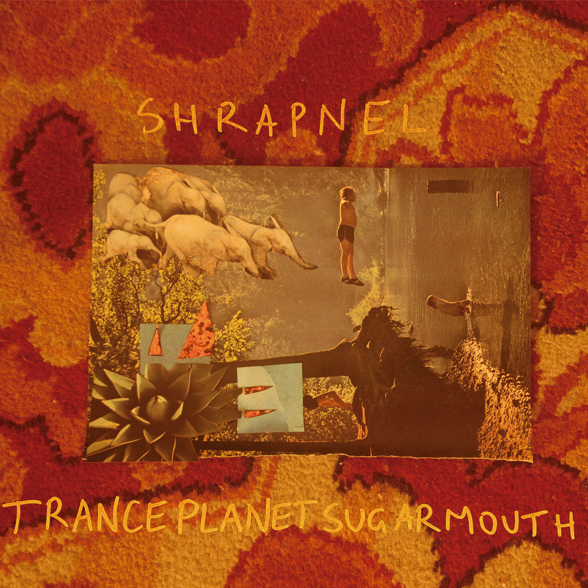 Shrapnel - Tranceplanetsugarmouth - Vinyl