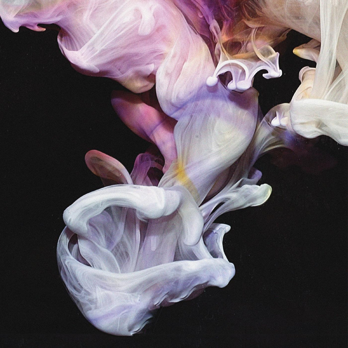 Simian Mobile Disco - Murmurations - Vinyl
