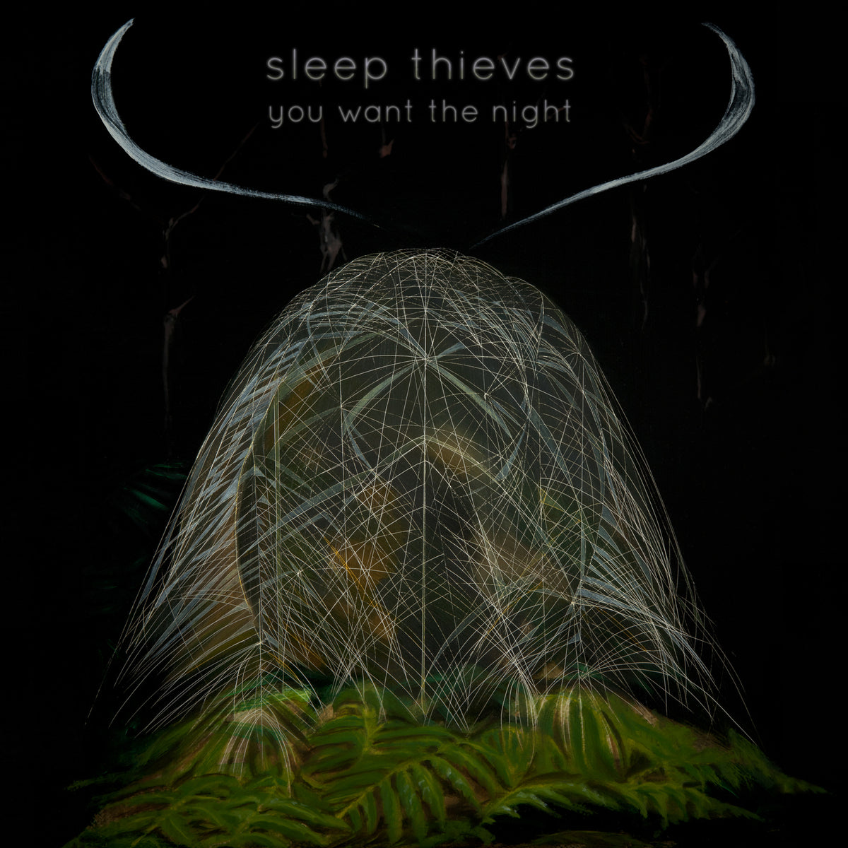 Sleep Thieves - You Want The Night - Vinyl