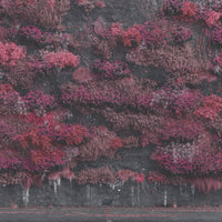 Sleep Token - Even In Arcadia (2LP) - Vinyl