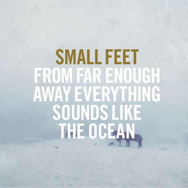 Small Feet - From Far Enough Away Everything Sounds Like The Ocean - Vinyl