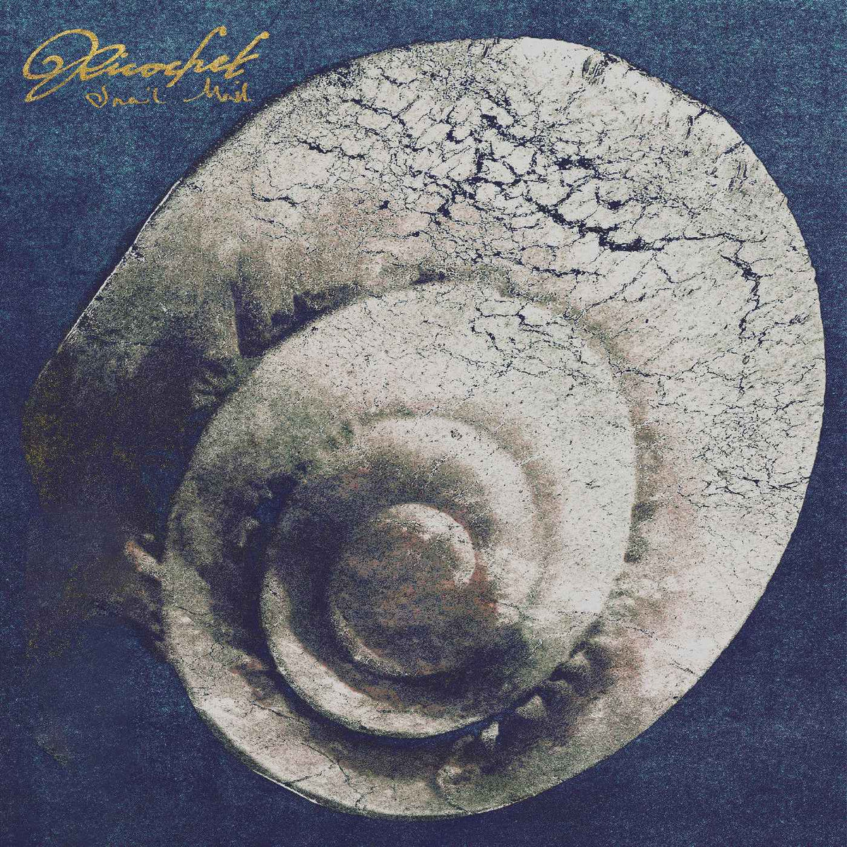 Snail Mail - Ricochet - Vinyl