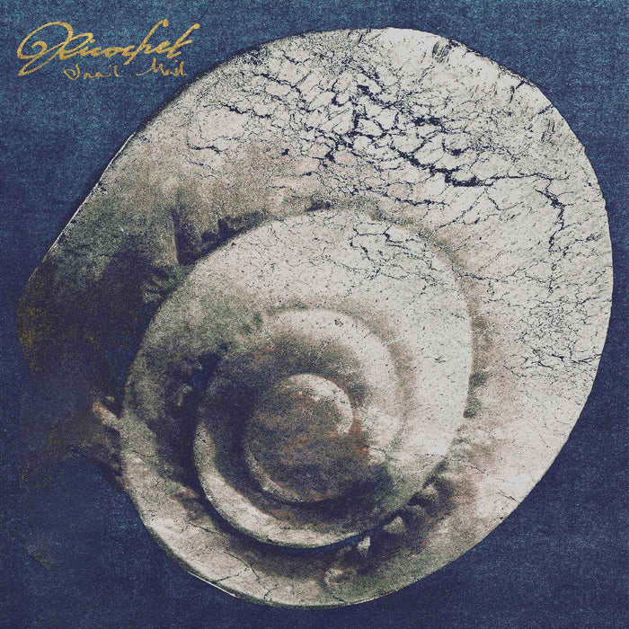 Snail Mail - Ricochet - Vinyl