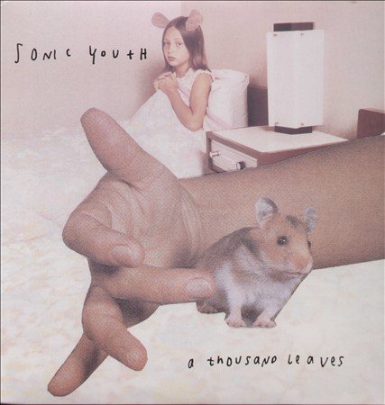 Sonic Youth - THOUSAND LEAVES (2LP - Vinyl