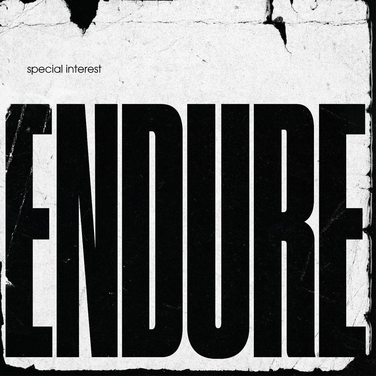 Special Interest - Endure - Vinyl