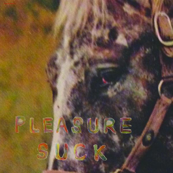 SPIRIT OF THE BEEHIVE - Pleasure Suck (TRANSPARENT ORANGE VINYL) - Vinyl