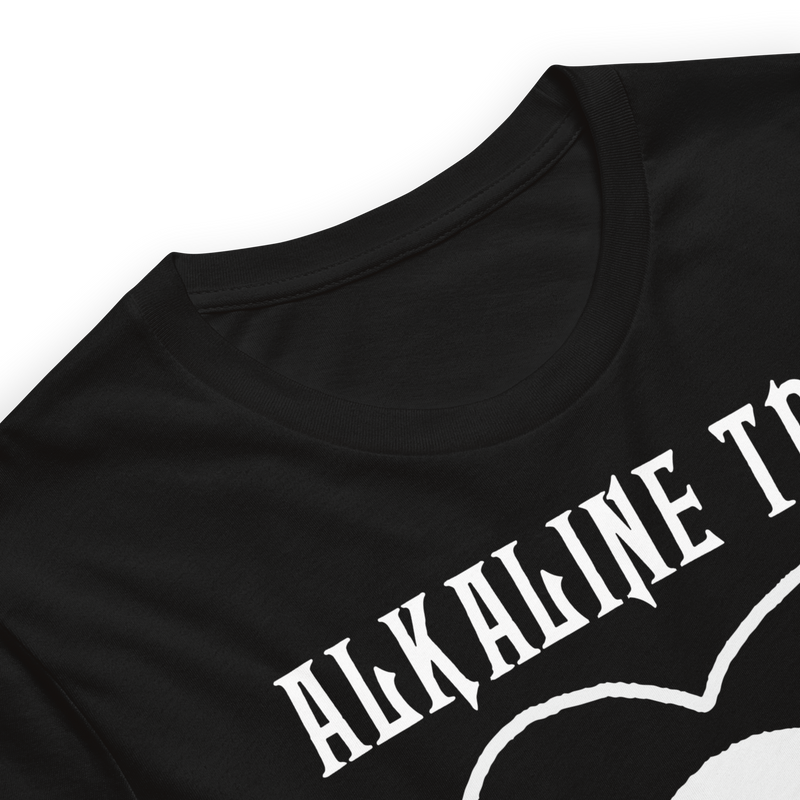 Stakes - Alkaline Trio Heart Skull T-Shirt - Black