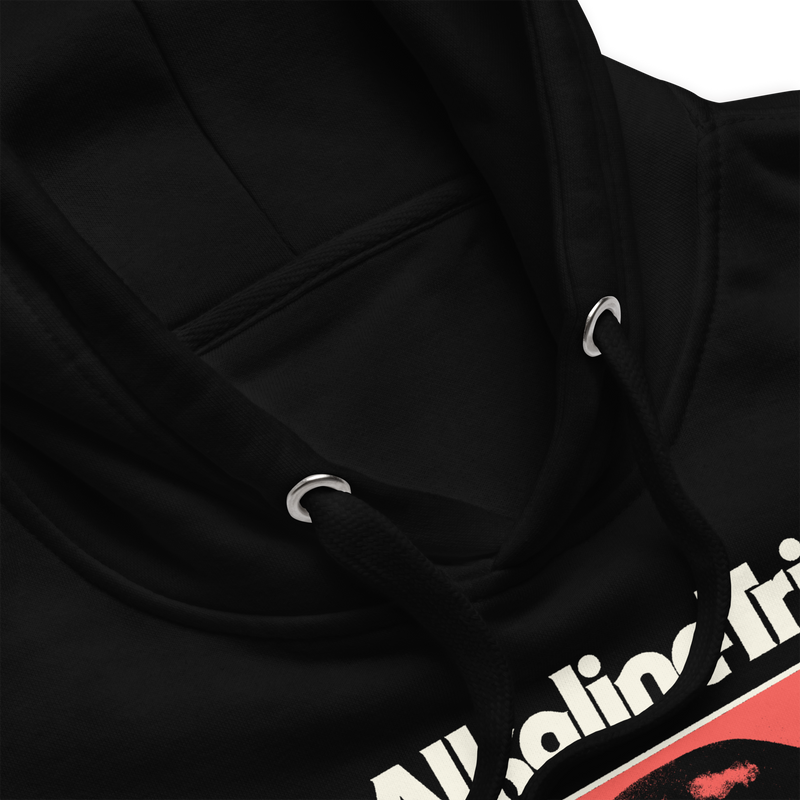 Stakes - Alkaline Trio Restricted Hoodie - Black