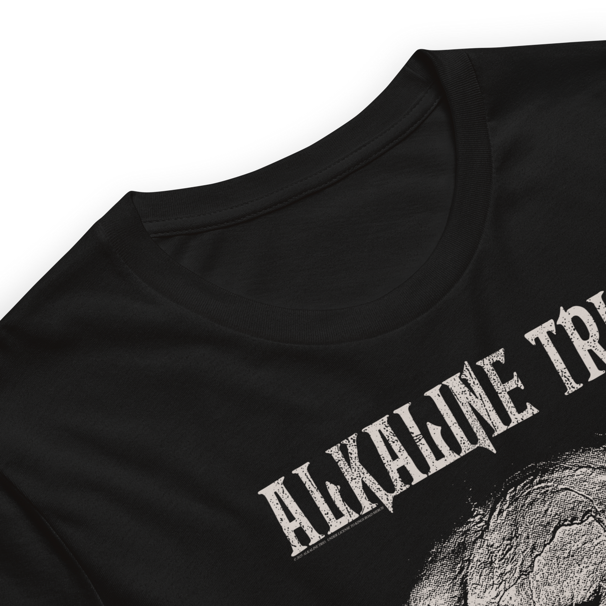 Stakes - Alkaline Trio Roses Blooming T-Shirt - Black
